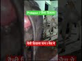 Prolapse In Cow Buffalo L Dr Umar Khan