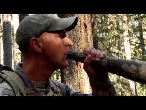 Corey Jacobsen's Elk Calling Basics