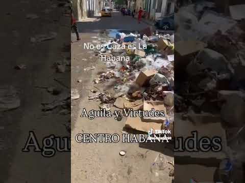 No es Gaza, es La Habana de Castro Canel #reporteros #comunismo #universoincreible #canel #cuba