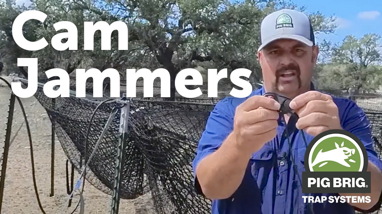 Using Cam Jammers with a Trap Trigger | Pig Brig Trap Systems