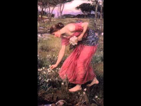 Lino Straulino - 'Il gno Amor'