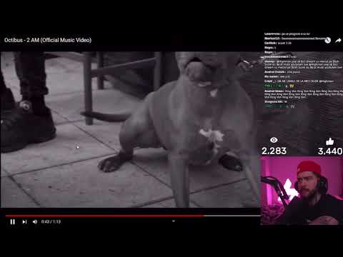 Highman reactioneaza la Octibus - 2 AM