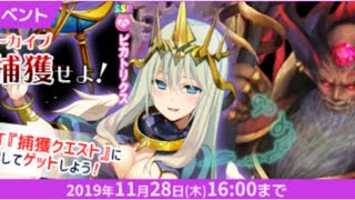 【Q&Qアンサーズ勝手にラジオ#41】ピカトリクス捕獲イベント復刻攻略