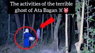 The terrible activities of the ghost of the Ata tree in the forest| #ghost #horrormovies #horror