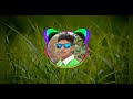 Ramesh Raj Dj