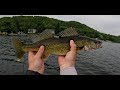 Video Thumbnail for Chain Lake Eaters - Walleye Feast!