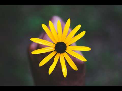 Prince Bulo - Amagama ft. Nokwazi & Dladla Mshunqisi (Given Black Remix)