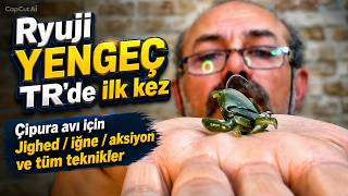 Silikon Ryuji Yengeçle Çipura Nasıl Yakalanır? Aksiyon ve İğne Seçimi