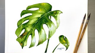 Easy Watercolor Painting - Monstera Plant Leaves-Tutorial for Beginner Step by Step.