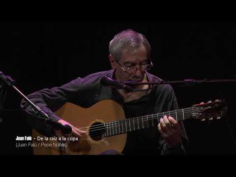 Juan Falú - De la raíz a la copa