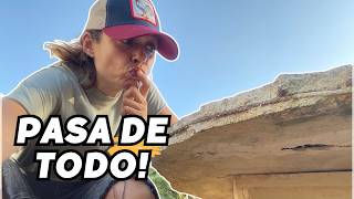 Accidente en la mesa. Me destrozan el maracuyá y construyo bordura de jardín con palets. Vlog254