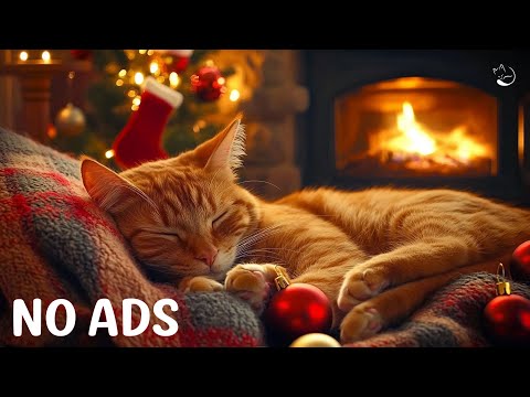 24 Hours of Calming Music for Cats 🐱 Cat Anti Anxiety Music for Relief Stress, Heal