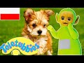 Teletubisie Po Polsku Kompilacja 1 Godziny DOBRA JAKOŚĆ Pełne Odcinki Bajki Dla Dzieci