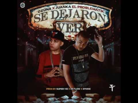 Ozuna Ft. Juanka El Problematik | Se Dejaron Ver