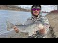 Video Thumbnail for HOW TO FISH The North Saskatchewan River | So Many Species!