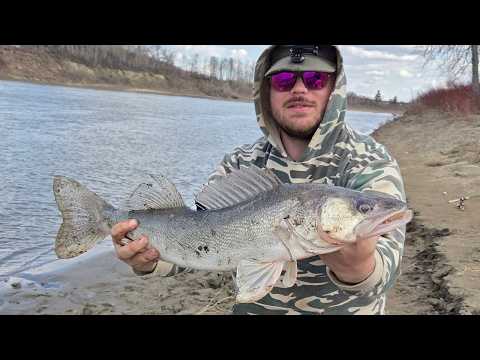 How To Fish The North Saskatchewan River by SaskCast Angling