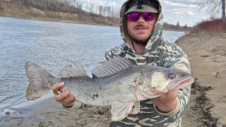 How To Fish The North Saskatchewan River by SaskCast Angling