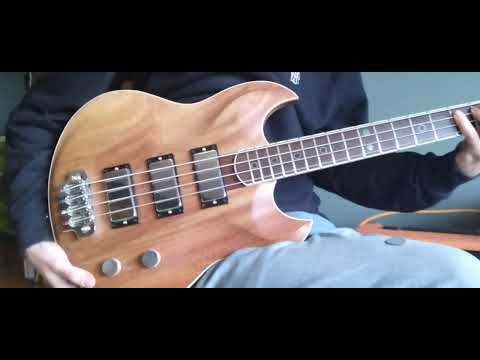 K2 bass by J Douglas Guitars. image 16
