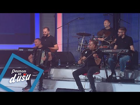 Orkestar Borka Radivojevica - Beogradjanka kolo - PZD - (LIVE) - (Tv Grand 17.06.2024.)