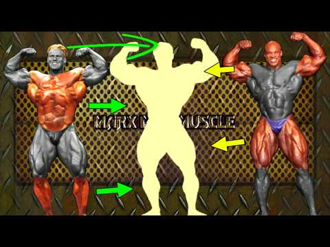 RONNIE COLEMAN and JAY CUTLER (The Ultimate Bodybuilder)