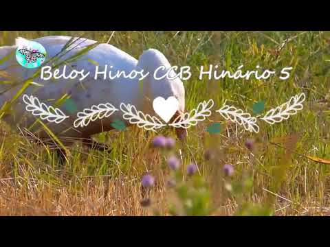 Hino 264 Redentor celeste e santo