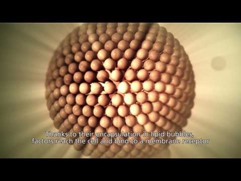 Sesderma Factor G regeneruojamasis serumas, 30 ml video