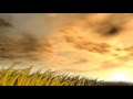 The Yellow House - Trailer 