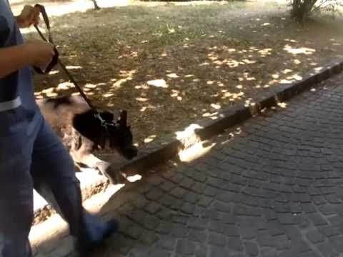 Ð ± оР»DN, живоÑ, внуÑ, Ñ € Ñ D D, ÐÐ ° ÐμÑ, Ñ D² пину Mal di schiena sotto la pelle