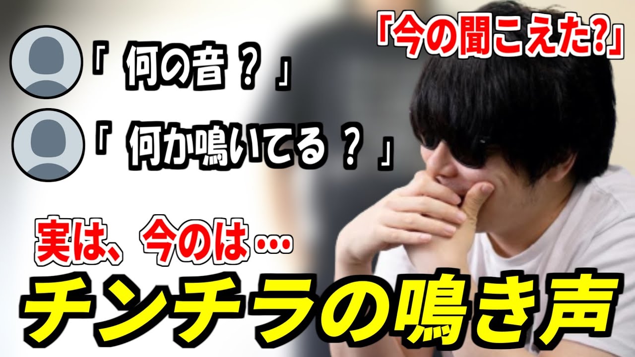配信中に「チンチラの鳴き声」が聞こえたシーン　【もこう先生/切り抜き】【2025/4/24】
