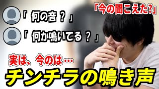 配信中に「チンチラの鳴き声」が聞こえたシーン 【もこう先生/切り抜き】【2025/4/24】