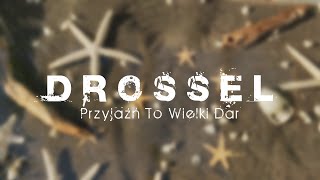 Musik-Video-Miniaturansicht zu Przyjaźń to wielki dar Songtext von Drossel