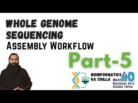 Whole Genome Sequencing Assembly Workflow Part 1 From Zero to Hero