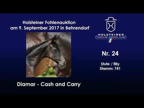 Nr. 24 v. Diamar - Cash and Carry