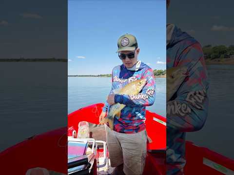 pesca de BOGA en paso de la patria 1 de marzo 2026#bogas #pescaria #piapara #corrientes #formosa