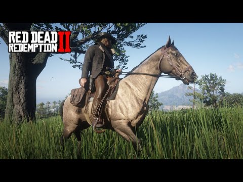 Usando o NOVO CAVALO na história do jogo - Red Dead Redemption 2