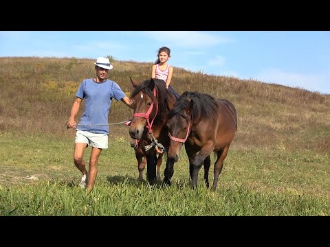 Caii lui Florin de la Sieu Sfantu, Bistrita Nasaud - 2020 Nou!!!