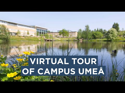 Take a virtual tour of Campus Umeå