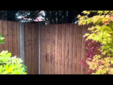 Handyman Dave video.