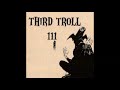Third Troll (Bardo Pond related) - III (2005, Full Album)