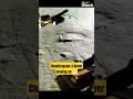 Chandrayaan 3 Rover Moving On Moon Chandrayaan3 Chandrayaan