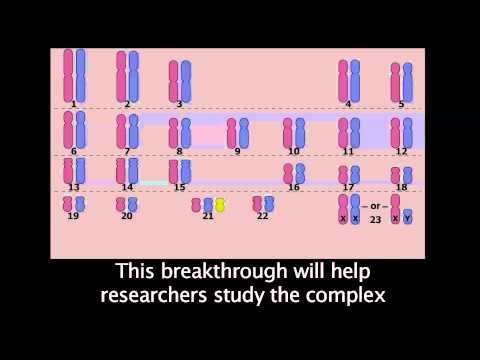 Behind the Headline: Silencing Chromosome 21
