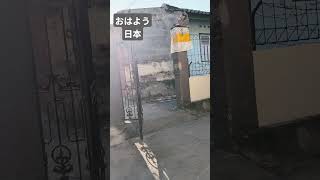 #痛風　#バリ島　#インドネシア 　#おはよう　#時差　はマイナス1時間です☺