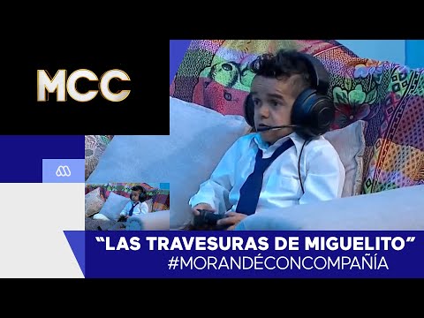 #MorandéConCompañía / Miguelito's Mischief - Part 20 / #Mega