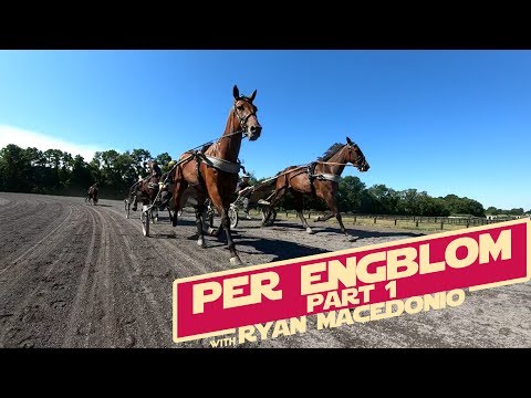 #Hambo18 A TrotCast Story: Per Engblom Part 1