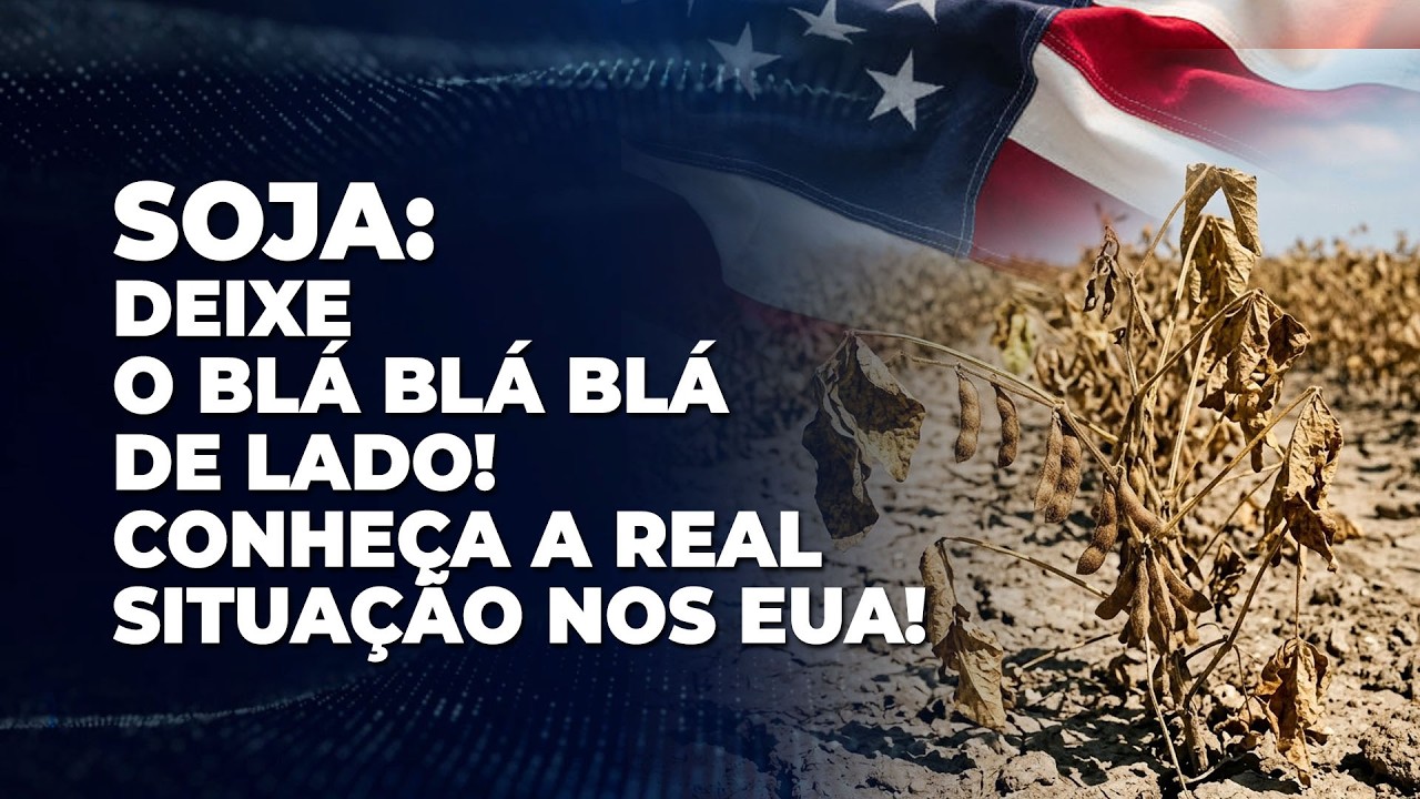 SOJA: DEIXE O BLÁ BLÁ BLÁ DE LADO! CONHEÇA A REAL SITUAÇÃO NOS EUA!