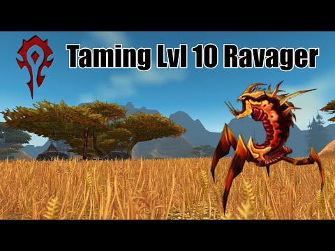 World of Warcraft Level 10 Horde Hunter Taming Ravager