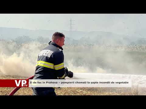 Zi de foc în Prahova – pompierii chemați la șapte incendii de vegetație