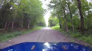 A Summer Drive in the Forests of Québec [PART 1]