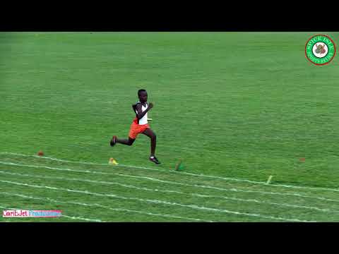 Twilight Relays 2017 - Under 11 Boys 4x200m