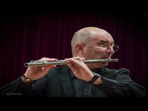 @ionbogdanstefanescu  Dvorak - Sonatine for flute and piano p II